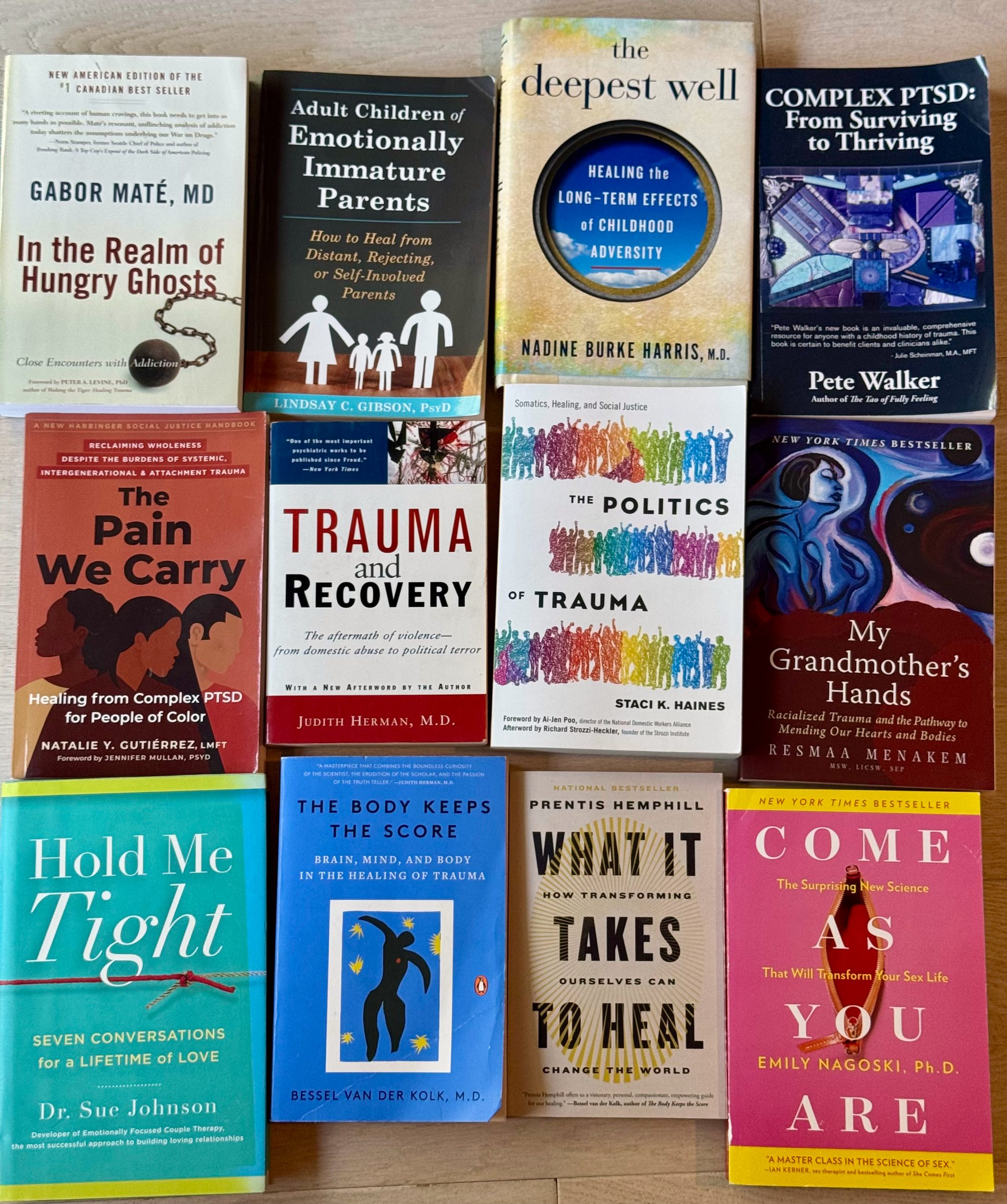Twelve well-read books on trauma, attachment, and healing laid out on a wood floor.